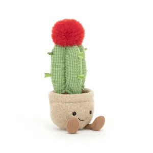 Amuseable Moon Cactus